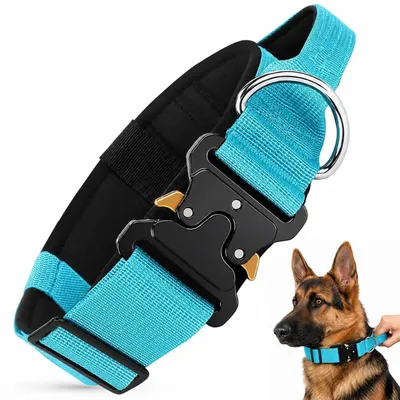 Produktbild von Hundehalsband Taktisch Breit Gepolstert mit Griff Blau M