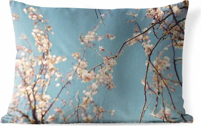 Produktbild von MuchoWow® Outdoor Kissen - Blüte - 60x40 cm - Wetterfest - Lounge Kissen - Zierkissen - Kissen für Innenräume