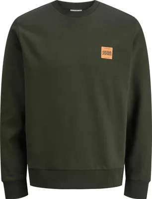 Image de Jack&Jones Sweatshirt 272103300004 in BLACK color size large