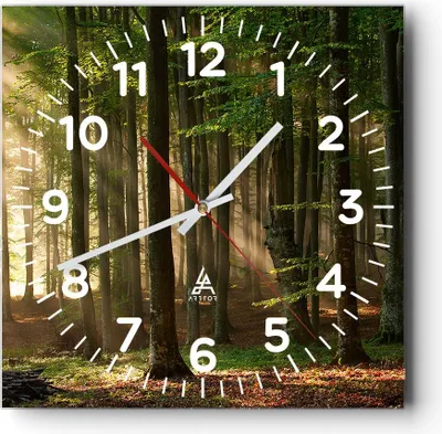 Produktbild von Wanduhr - Quadrat - Glasuhr - Wald Baum Natur - 40x40cm - Schleichendes Uhrwerk - Lautlos - zum Aufhängen bereit - Dekoration Modern - Wanddekoration aus Glas - C4AC40x40-3628