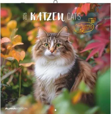 Produktbild von Katzen 2026 - Broschürenkalender 30x30 cm (30x60 geöffnet)