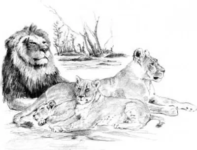Image de Royal Langnickel Peinture avec crayons d'esquisse 39 x 28,5 cm/mélange 4 motifs
