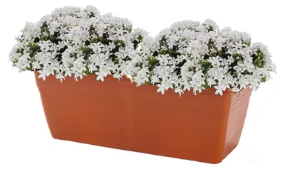 Produktbild von PlasticForte Pflanzgefas - terra braun - 40 x 18 x 15 cm