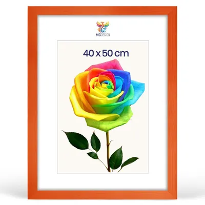 Produktbild von MG Design 5er Set Bilderrahmen Orange 40x50 cm - Posterrahmen Echtholz mit Acrylglas, stabile Wandaufhängung, hoch/quer