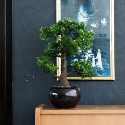 Zdjęcie produktu dla Szmaragdowa sztuczna roślina bonsai ficus zielony 47 cm 420006