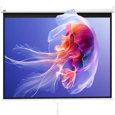 Produktbild von HOMCOM Beamer Leinwand 244 x 183 cm 120 Zoll 4:3/ 16:9 Projektionsleinwand