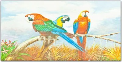 Produktbild von Coloray Bild aus Glas 140x70 gehärtetes Glas glasblock mit bild wohnzimmer Küche Dekoration wanddekoration - Pet Vögel Papagei Wolken