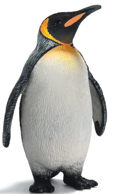 Produktbild von schleich Königspinguin, 3 Jahr(e), Schwarz, Weiß, Kunststoff