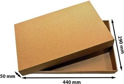 Zdjęcie produktu dla Karton Fasonowy Karbowany Z Wiekiem 440x290x50mm EKO Gabaryt A