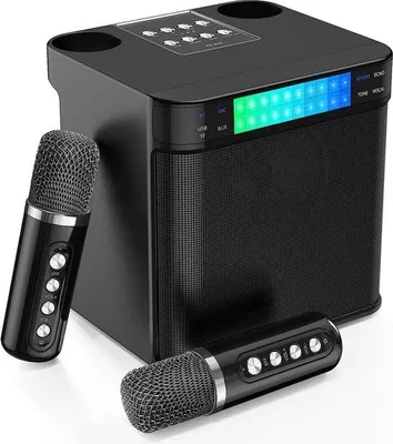 Image de Kit de karaoké Bluetooth avec deux microphones