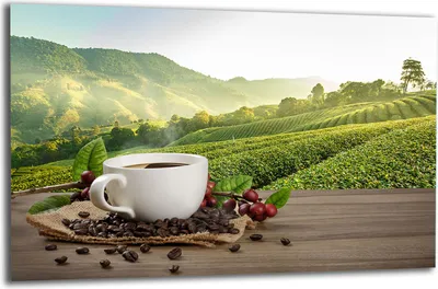 Produktbild von Herdabdeckplatte Glaskeramikkochfeld-Abdeckung Spritzschutz Glas 80x52 Kaffee