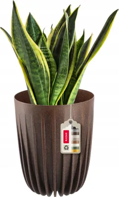 Zdjęcie produktu dla KADAX Doniczka Eko Osłonka + Wkładka Brązowa 14,5x17cm