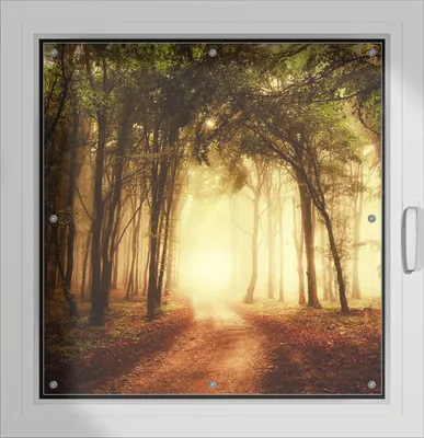 Produktbild von Wallario Lichtschutzbild, Dekorativer Sichtschutz Sonnenschutz 96 x 100 cm mit Motiv: Sonnenuntergang auf dem Waldweg - Verdunklung ohne Bohren