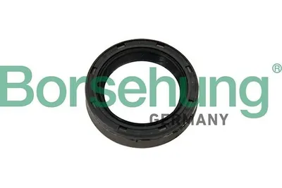Produktbild von Borsehung Wellendichtring Ausrücklagerwelle B12192 für VW Golf VII Schrägheck (5G1, BQ1, BE1, BE2)