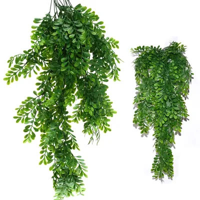 Image de Plantes suspendues artificielles, 70 cm, d'aspect réaliste, pour décorer les murs d'une chambre, d'un salon, d'un balcon ou d'un bureau.