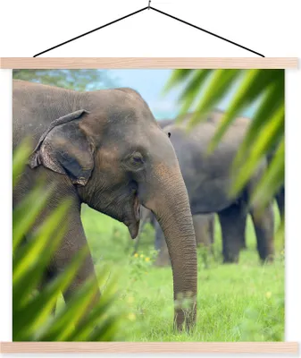 Produktbild von MuchoWow® Textilposter Elefant - Palme - Tiere 120x120 cm mit holzfarbenen Rahmen - Textil-Poster
