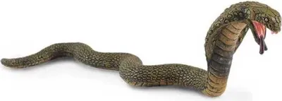 Produktbild von Collecta Cobra-figur Grün 3-6 Years Grün 3-6 Years