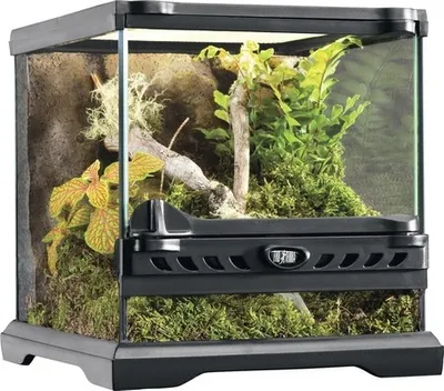 Produktbild von Terrarium, Paludarium Exo Terra 20 x 20 x 20 cm