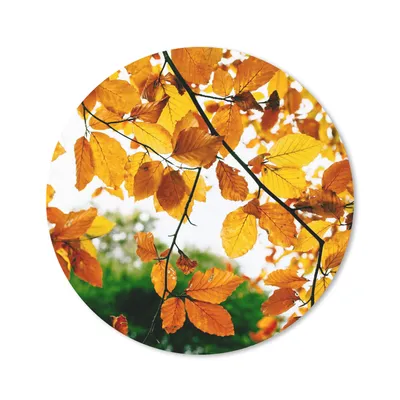 Produktbild von MuchoWow® Mauspad Mousepad Herbstblätter - Baum - Rustikal 40x40 cm - Mousepads - Maus Mat - Pad - Mausunterlage - Schreibtisch Accessoires