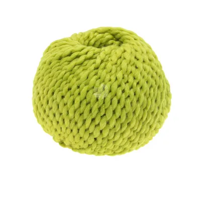 Produktbild von Lana Grossa Lala Berlin Chunky, Farbe:009 - Kiwigrün