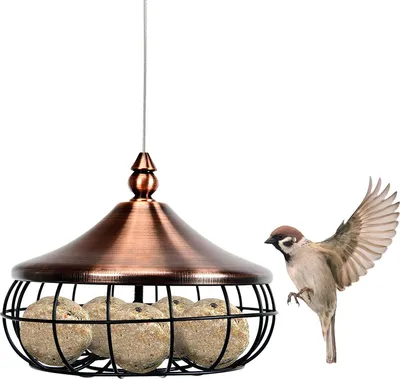 Produktbild von GOPLUS Meisenknödelhalter zum Aufhängen, Futterstationen aus rostfreiem Metall, mit Dach, Vogelfutterspender Ø 17 cm, für Meisenknödel ohne Netz, witterungsfest, für Balkon oder Garten