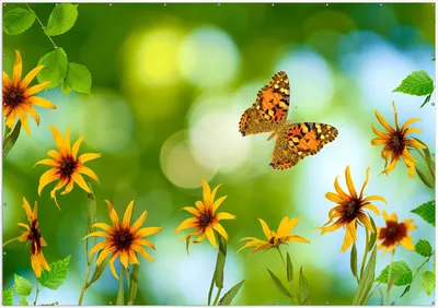 Produktbild von Wallario XXL Outdoor-Poster für Garten oder Balkon, Motiv Blumen mit Schmetterling, in ca. 400 x 280 cm
