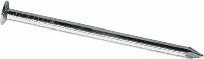 Zdjęcie produktu dla Gwoździe aluminiowe SCHWEGLER 004-420 SB do budek lęgowych, srebrne (opakowanie 25 szt.)