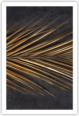 Produktbild von Poster - Poster ohne Rahmen - Blatt golden schwarz - 61x91,5 cm - Wand Bild - Wanddeko - Wandbilder - Kunstposter - Wandposter - Bilder - Kunstdruck - Wanddekoration - Wandbild - P2XPA61x91-5091