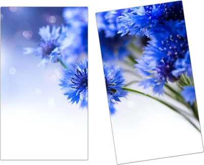 Produktbild von Spritzschutz Herdabdeckplatte Schneidebrett aus Glas Kornblumen 2-Teilig (60x52cm)