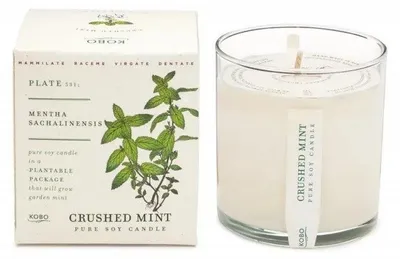 Produktbild von KOBO Plant the Box Duftkerze "Crushed Mint" (10 oz / 283 g)