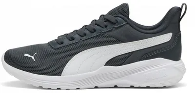 Produktbild von Puma Sneaker grau in Gr. 42.5