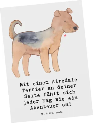 Produktbild von Mr. & Mrs. Panda Postkarte Airedale Terrier Abenteuer - Weiß - Geschenk, Hunderasse, Familienhund, Grußkarte, Hunderassen Eigenschaften, Hundeliebhaber, Ansichtskarten