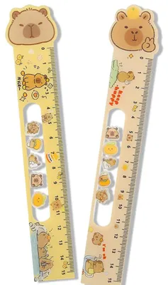 Productafbeelding van Set van 2 capybara linialen van 15 cm