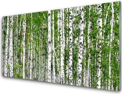 Produktbild von Acrylglasbilder 100x50 Wandbild Druck Birken Wald Bäume Natur