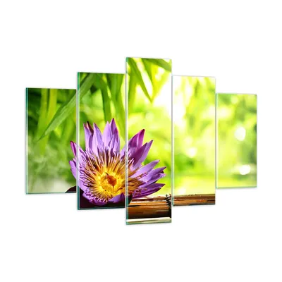Produktbild von Bilder auf glas - Asien spa bambus blume - 150x100cm - Glasbilder - Wandbilder - Kunstdruck - zum Aufhängen bereit - Wanddekoration aus Glas - Glas Bilder - Wandbild auf Glas - GEA150x100-2476