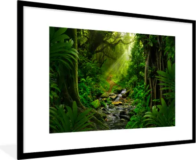 Produktbild von MuchoWow® Gerahmtes Poster Dschungel - Wasser - Laub - Sonne - Natur 90x60 cm - Poster mit Schwarzem Bilderrahmen Wandposter Rahmen Foto Bilder - Wanddekoration - Fotos