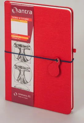 Image de Renesans notebook A5 in line orange