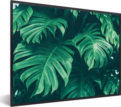 Produktbild von MuchoWow® Gerahmtes Poster Monstera - Blätter - Pflanzen - Dschungel - Natur 80x60 cm - Poster mit Schwarzem Bilderrahmen Wandposter Rahmen Foto Bilder - Schwarzem - Mit Gestell
