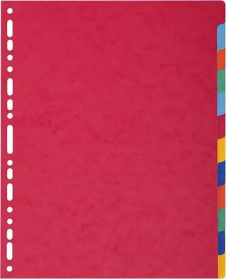 Immagine prodotto di EXACOMPTA 2612E EXACOMPTA Karton-Register, DIN A4+, 12-teilig