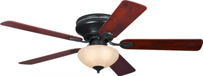 Immagine prodotto di Ventilatore da soffitto con luce e catene Everett Espresso 132 cm
