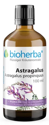 Produktbild von Bioherba Astragalus Astragalus propinquus Tropfen Tinktur 100 ml