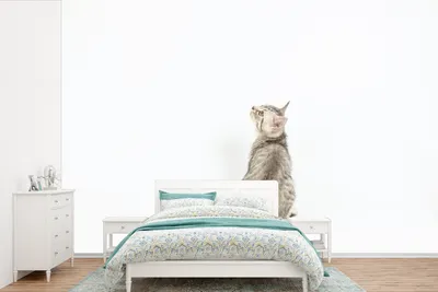 Produktbild von MuchoWow® Fototapete für Wohnzimmer oder Schlafzimmer Wandtapete Vinyl Motivtapete Katze - Haustiere - Fell - 420x280 cm - Zimmer für Kinder