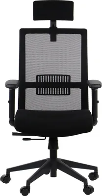 Zdjęcie produktu dla Obrotowe ergonomiczne krzesło biurowe RIVERTON M/H, regulowane podłokietniki, zagłówek, oparcie z siatki, siedzisko przesuwane (przód-tył), czarny