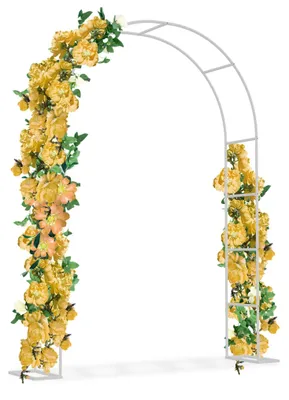 Productafbeelding van Metalen Rozenboog 240 x 192 cm voor Klimplanten