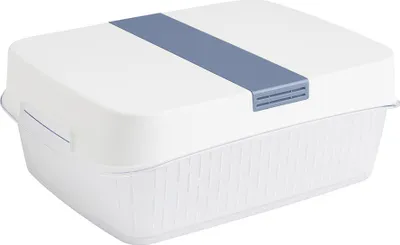 Produktbild von Rotho Frischhaltedose mit Deckel Fresh 6,4L - Kühlschrank Gemüse Behälter mit Siebkorb 31,4 x 23,9 x 12,0 cm - Aufbewahrungsbox für Obst und Gemüse