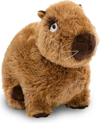 Produktbild von NICI Capybara Kuscheltier Capy-Barbara 27cm sitzend - Niedliches Stofftier zum Kuscheln und Spielen, Capybara Plüschtier für Schmusetierliebhaber - 61223, Braun