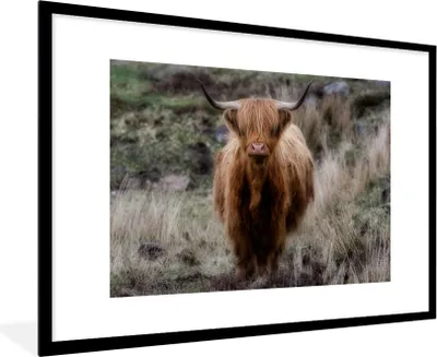Produktbild von MuchoWow® MuchoWow® Gerahmtes Poster Schottisches Hochlandrind - Moos - Gras 90x60 cm - Poster mit zchwarzem Bilderrahmen - Wanddekoration - Fotos