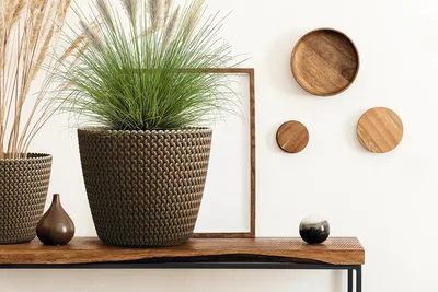 Produktbild von Blumentopf Splofy ECO für Innen- und Außenbereich Pflanzgefäß Rund Kunststoff UV-beständig 157 mm Weiß