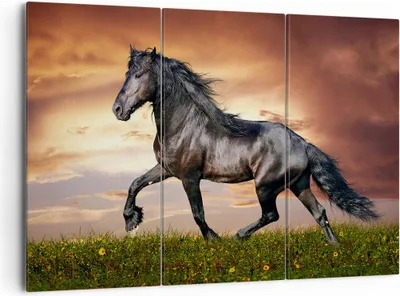 Produktbild von Bild auf Leinwand - Leinwandbild - Pferd Tier Wiese - 165x110cm - Wand Bild - Wanddeko - Leinwanddruck - Bilder - Kunstdruck - Wanddekoration - Leinwand bilder - Wandkunst - CE165x110-2608