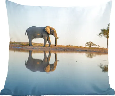 Produktbild von MuchoWow® Zierkissen Sofakissen Wohnzimmer Dekokissen 45x45 cm Elefant - Wasser - Bäume - Tiere - Natur - Schlafpolster - Polster für das Sofa